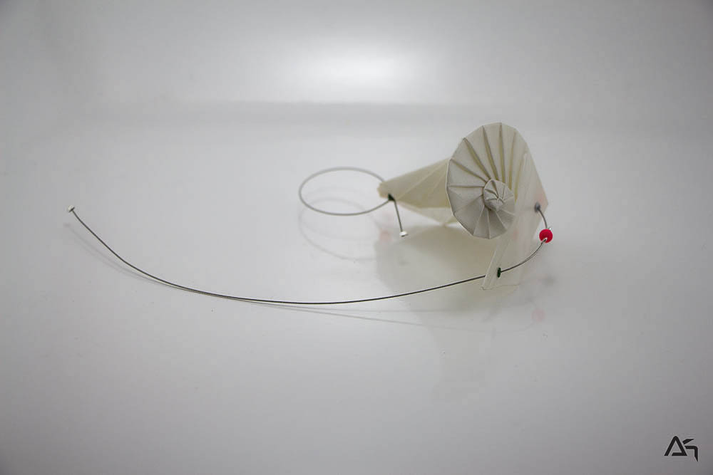 Bague Whitenautilus